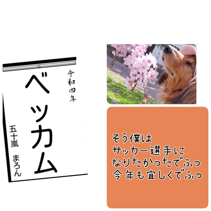 76e73cfa dd64 40ff b9ee d7a5accf1c2a 1641296787848