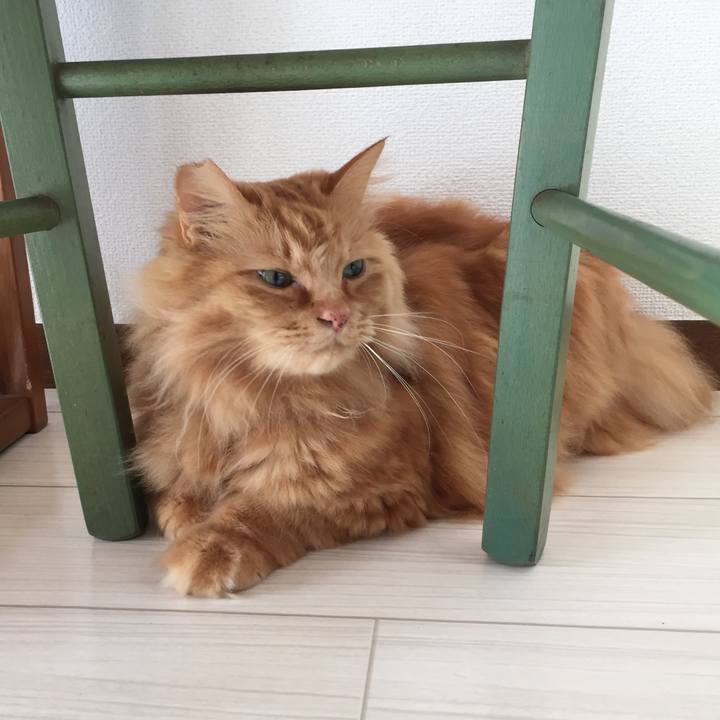 76e7668d 6610 410b 9178 023de77dbd4f 1522619420757