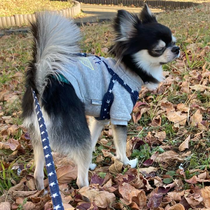 76e783f3 8046 458e 8855 50be61093a9e 1640842099422