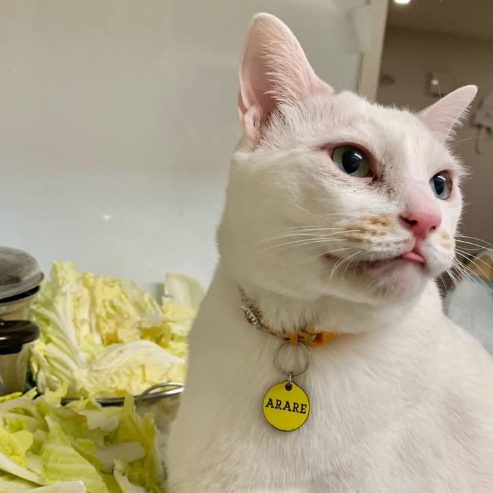 76e7aa32 18a4 4853 850d caad065eaa2f 1582723417509