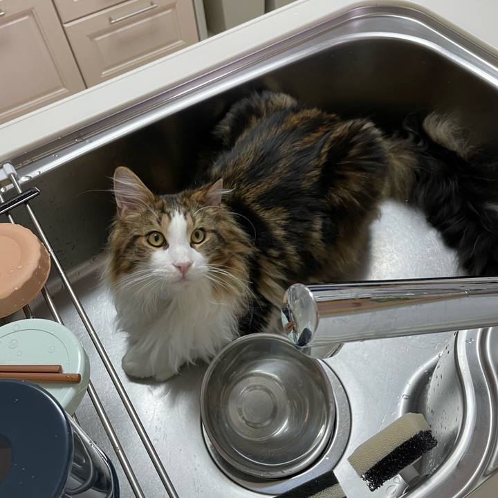 76e7e18f 2206 4095 a4f4 26f178f0192e 1645002331197