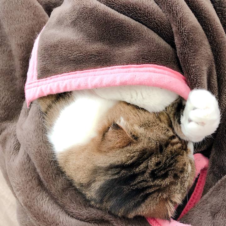 76e7f004 2917 4c8f 939a 7d168a45e9f5 1586758182887