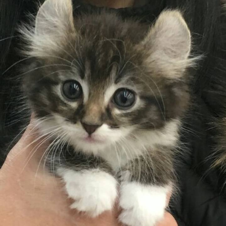 76e8208a 2617 47f4 80c5 1141abfd95ab 1514962304842