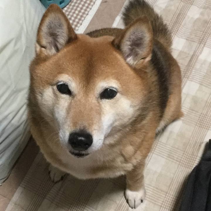 76e84109 0c24 4a4a b6cd 2358db8701f8 1580902574090