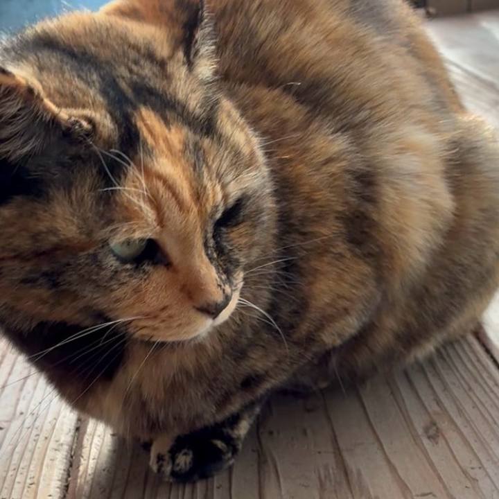 76e84572 6b78 469b 8c07 e8b30bfa58ba 1765677492035