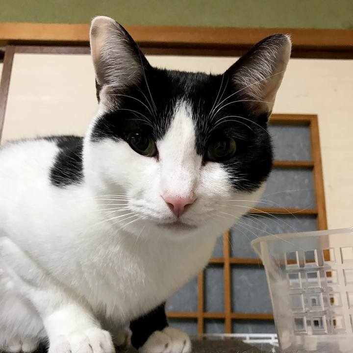 76e8baf8 835c 4765 a724 6c1bf50c2ea2 1511358722044