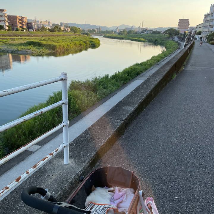 76e8e082 925c 42e3 98a4 f183d02be6d6 1656679833383