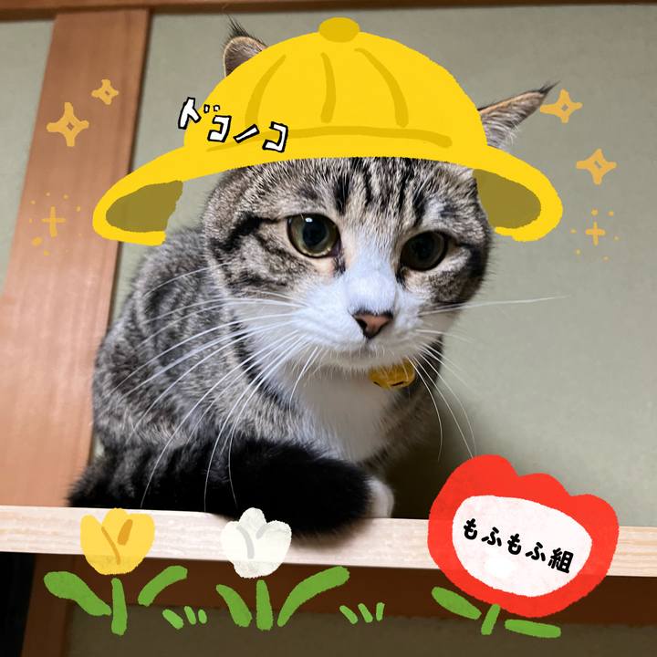 76e8fc88 640d 4a68 91da ae429c6db37c 1712202737603