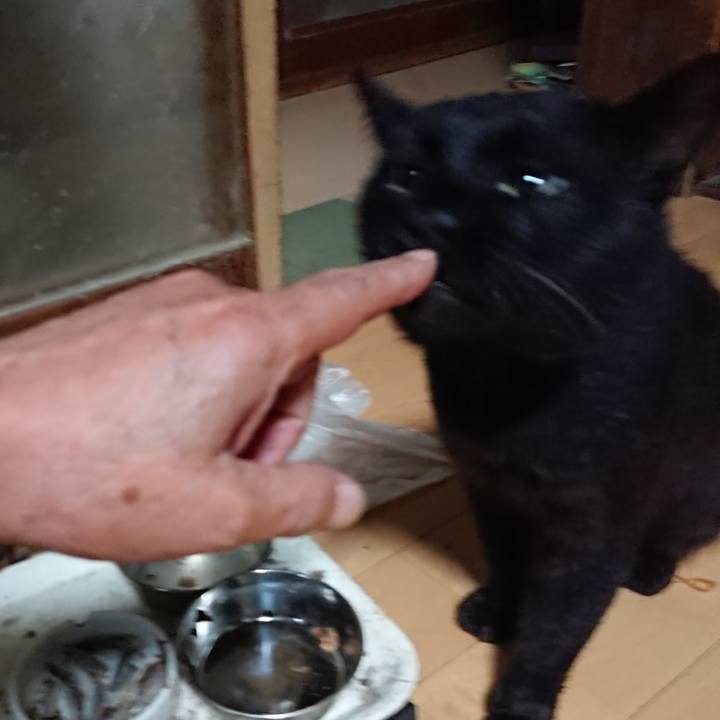 76e9011f 67cf 4aa8 ba3c 765bc7a7abfb 1627245909118