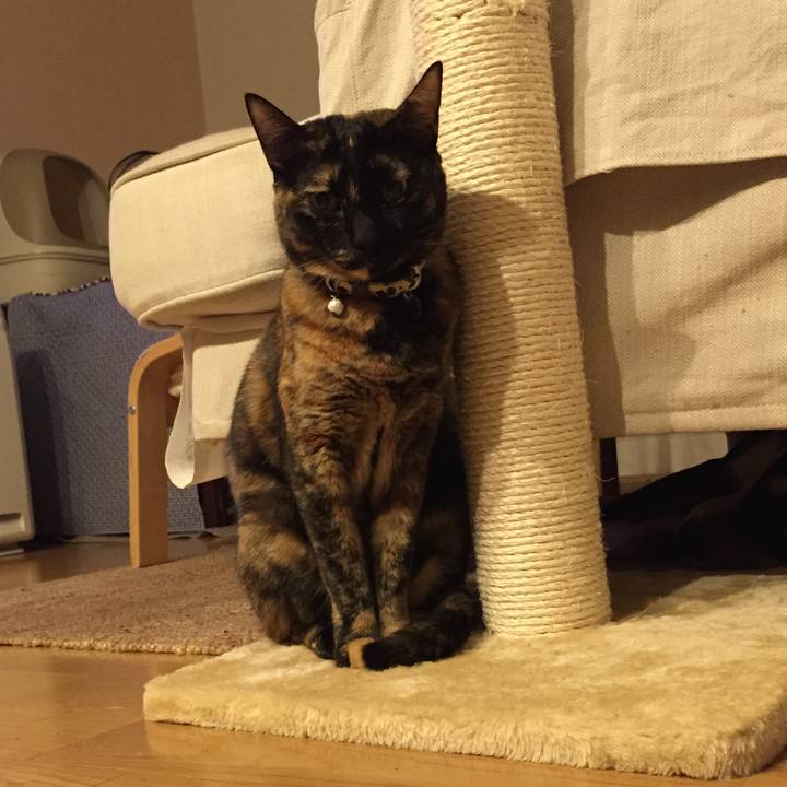 76e905db 65c3 427b 9c2f 585fcce77d0c 1512639405583