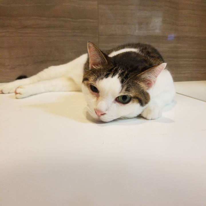 76e909c8 72c2 4d5a b666 a30ac71312f6 1571477741988