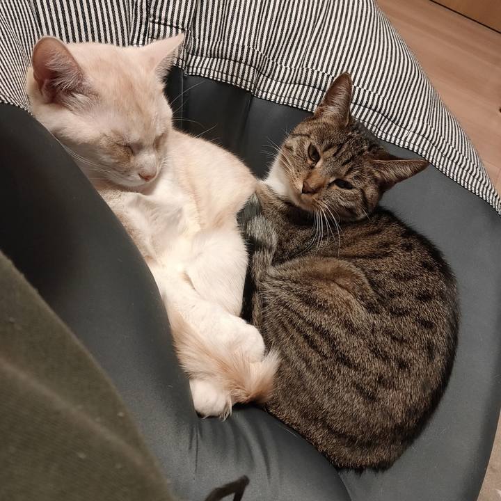 76e925c3 232b 416a a999 28268143370e 1676020704012