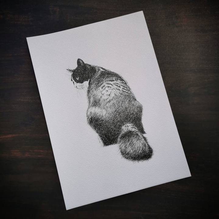 76e934e6 1369 4e2c 82fc bd2d94a7b135 1677338818845