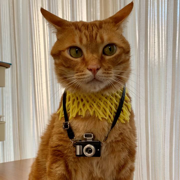 76e98120 b202 420c a5de 0d546e743bdf 1625984920383