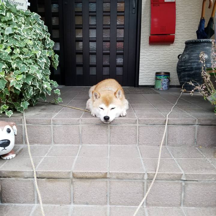 76e9ca8d 78b3 417e 97f6 565288d76320 1595496089183