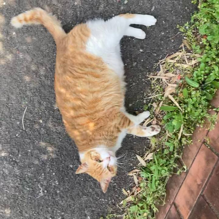 76ea570f f8ba 4177 86ca 8b194b0a4415 1617875497635