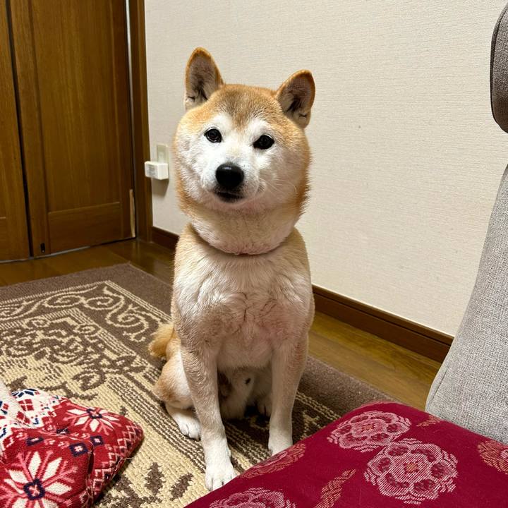 76ea6643 9656 4db0 9431 a7240f63523e 1709635993150