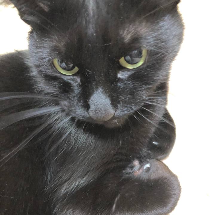 76ea8ecf 6de2 4084 a307 e291baee9783 1610802652514