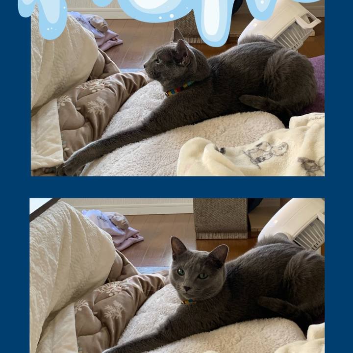 76eaa016 5614 4117 bf71 8d3b50518fcd 1672789930581