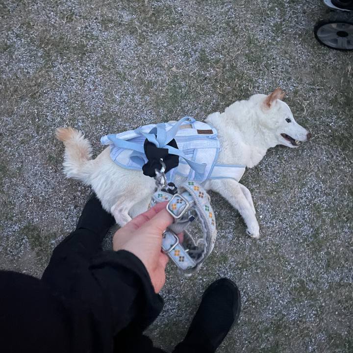 76eac2ee 1440 4e8c 9fad e48ed2eb93e5 1661347296264