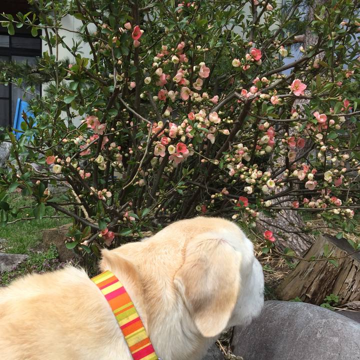 76eafcfd 1b7b 4907 8f52 da8beb966b99 1523773293522