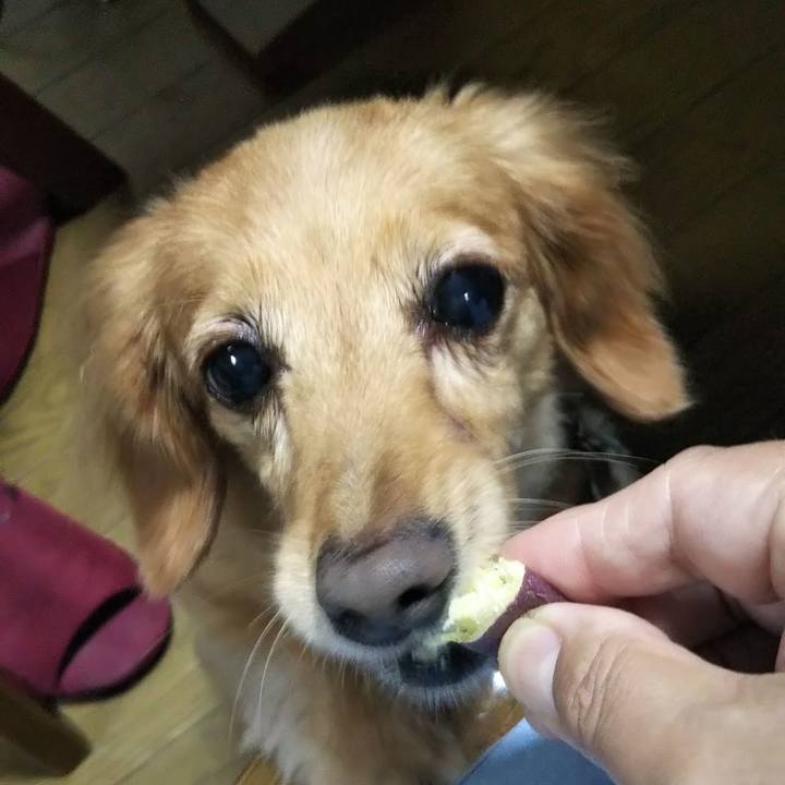 76eafdf5 3f08 45a9 8213 d2ef32f228f8 1600163189578