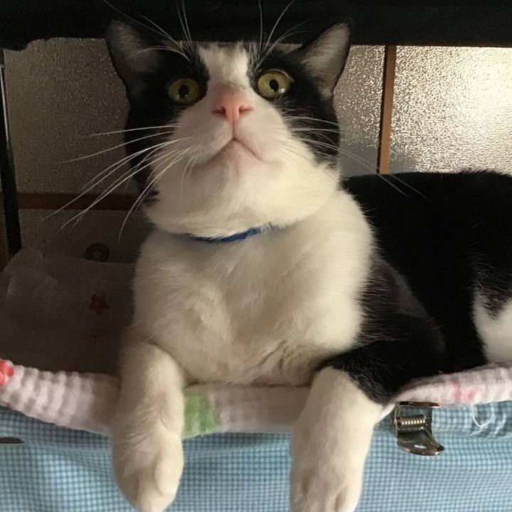 76eb2470 cc5c 45d2 a8bf 70ec709332ee 1759477459438