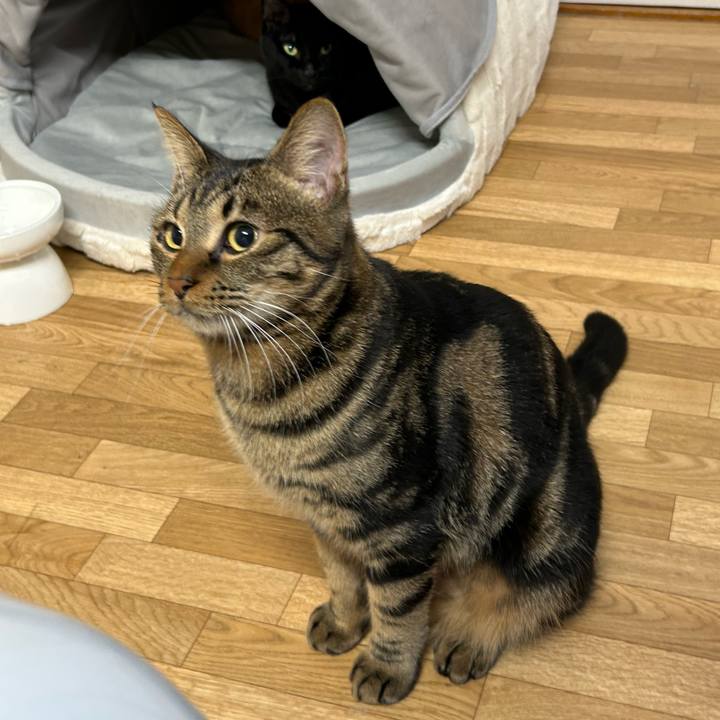 76eb2ab2 d3f2 49d1 af85 00ccc2609796 1763774456975