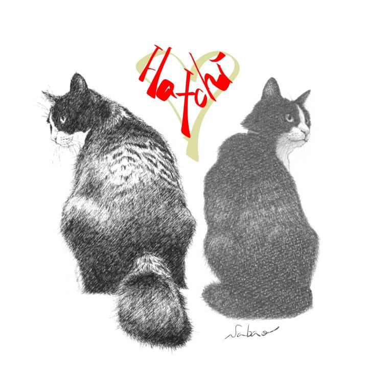 76eb2b41 f325 4a0c 9351 5a9d3168db84 1677501719886