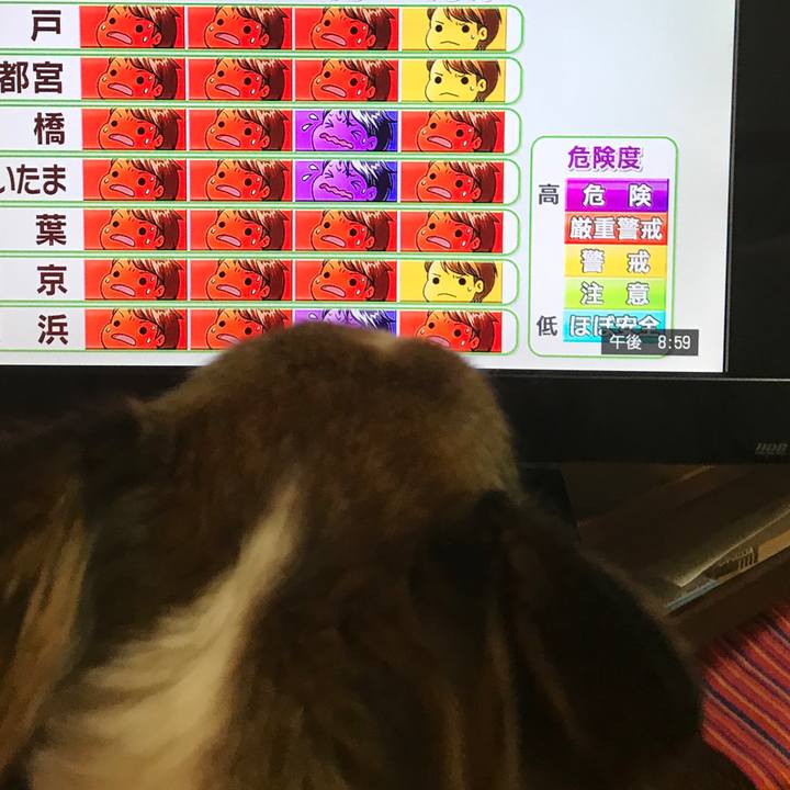 76eb3b4f abec 4352 9bbd 5a7bc7992f7c 1531483328456