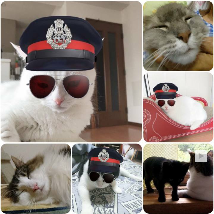 76eb4a5b a16f 4dc7 9b6b ae56dd52e3c6 1566702156996