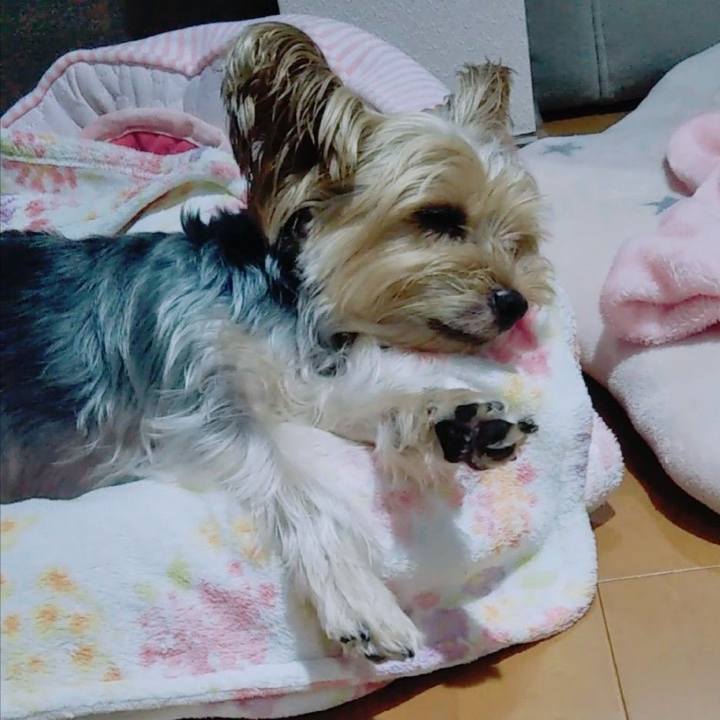 76eb5f96 3ae8 40f3 a543 877aeb4cb623 1665398071377