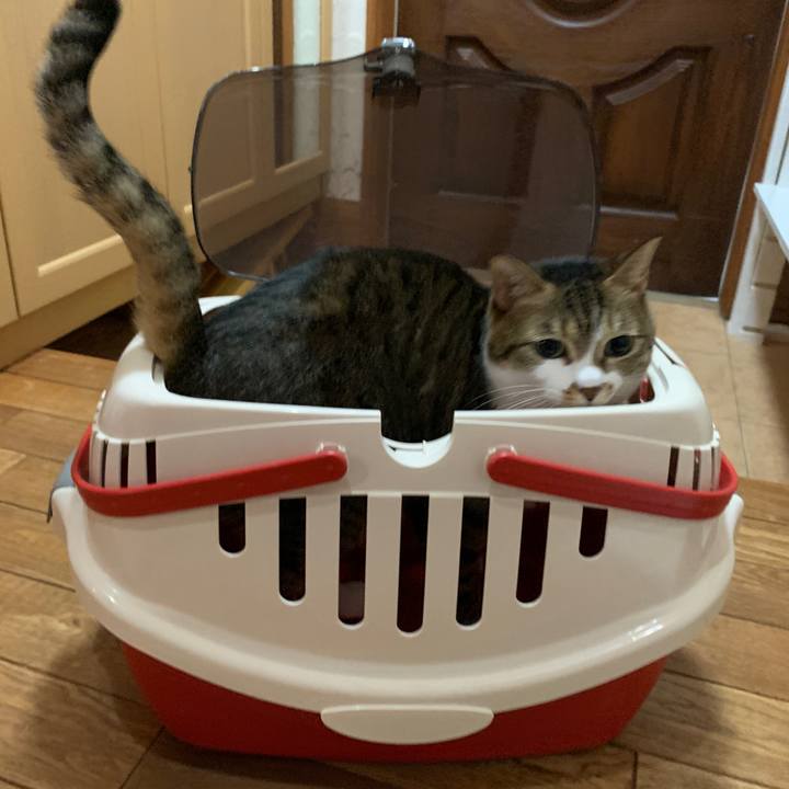 76eb702b 3683 4e16 aa7e fa783a5b9bc8 1643200019255