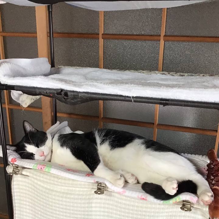 76eb7ede 4a7a 42d3 b561 93d11e7dad86 1641783507399