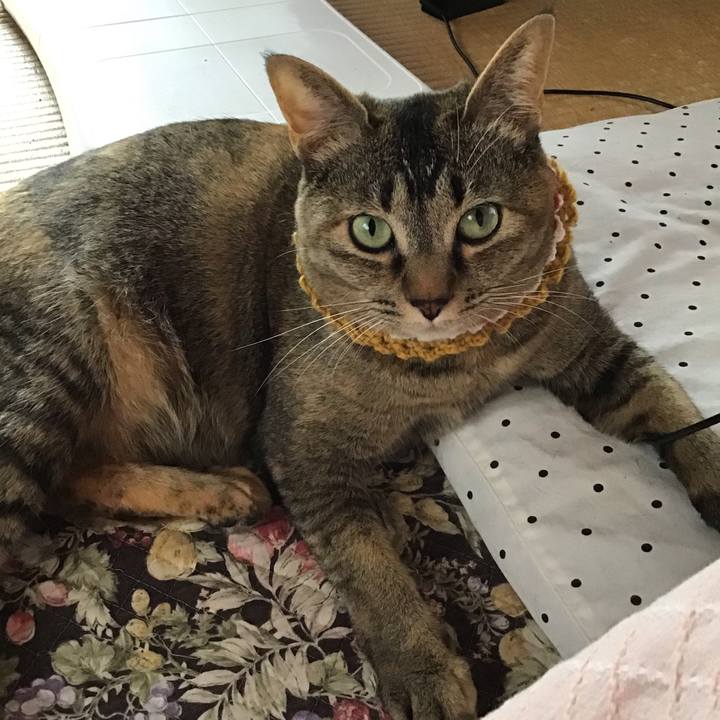 76ebdaf5 4cb6 430f bb4b 0f71c8c585ad 1622175524638