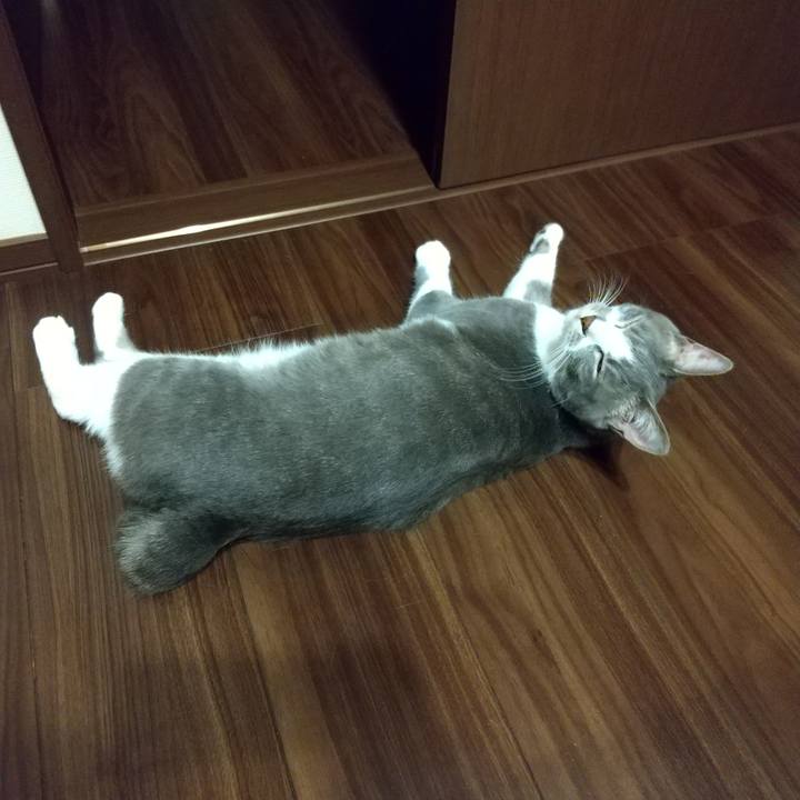 76ebf610 ef29 4973 893d 303b26844821 1620129809467