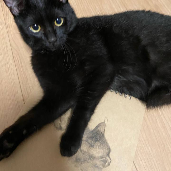 76ec109f 551e 4f9e 9c32 7c7fa3d1d656 1621170968377