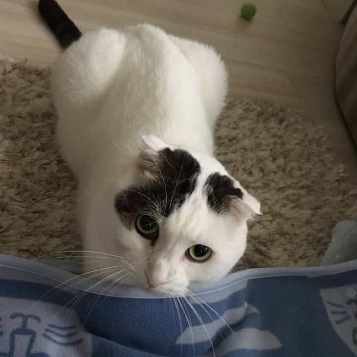 76ec5bdb f1f4 4c26 a0fb bf6f45c84d0b 1507938507855