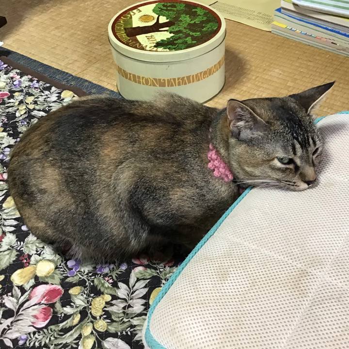 76ec6f57 9da0 4a10 a0df 1f44b0fcef36 1594256340519