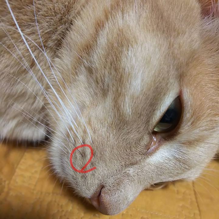 76ece387 f5a2 4768 9fc9 db102b68492a 1600604743763