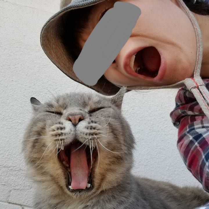 76ecfea0 943f 4246 8760 dde56cb3b0ec 1527578101101