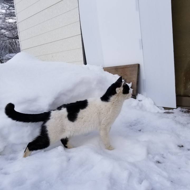 76ed12fd 1874 44de 994e 51f674e61882 1610618917482