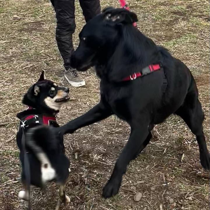 76ed1aa4 dbc6 46b2 b64d 2a5f72fa72bf 1707898422103