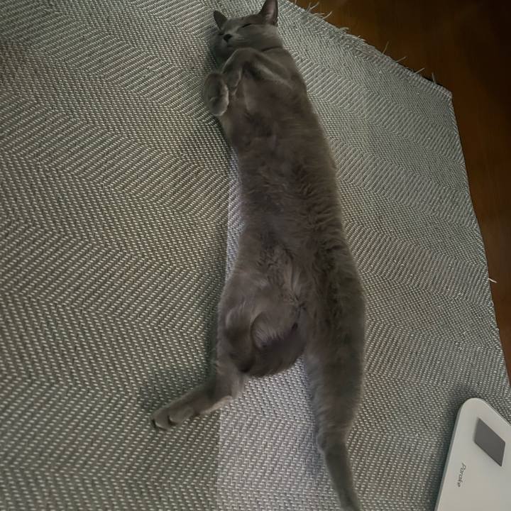 76ed45a5 d8aa 49cd a929 49511e9f5455 1739145644369