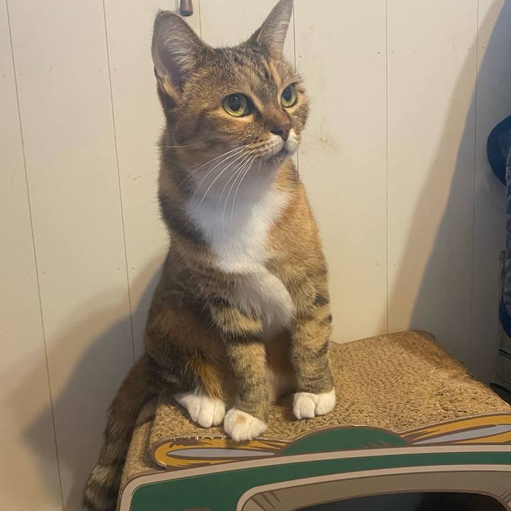 76ed4dde 5326 444e 86b0 d5d0ec034ff6 1634434215967