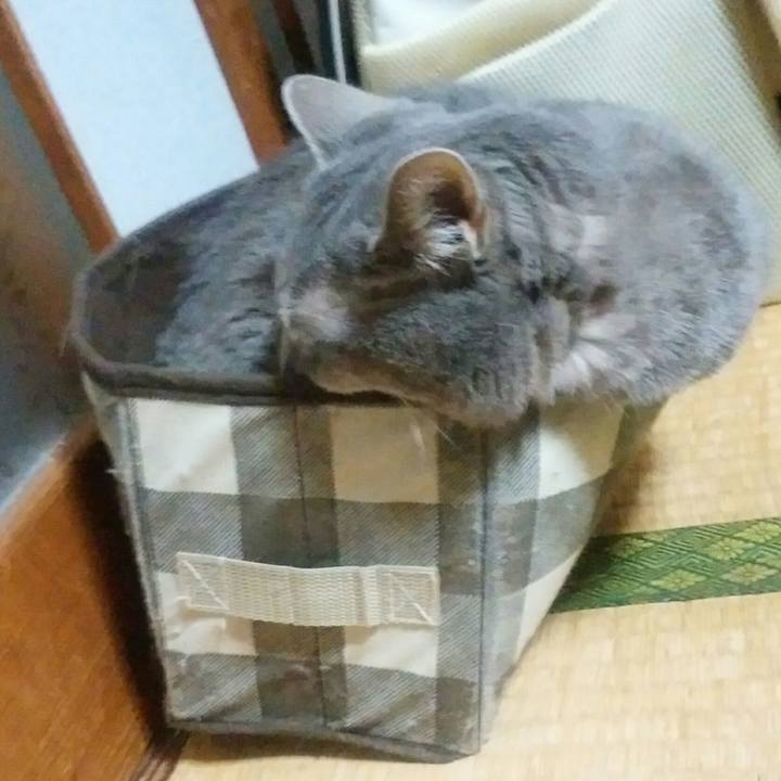 76ed671e aac9 47ce 9883 72a1f190e214 1592825913492