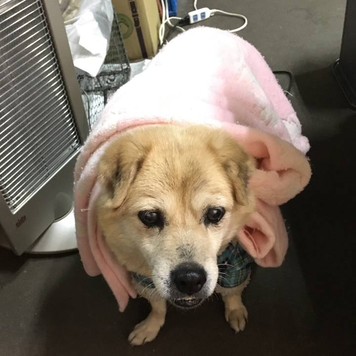 76ed7ec2 e81c 4d22 921a 2b9bf3e7b89e 1519713702946