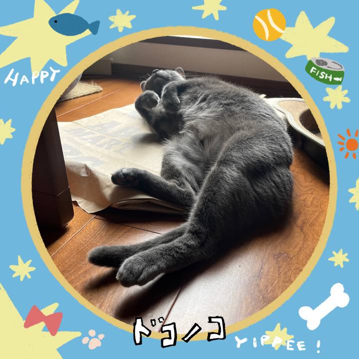 76ed9ec0 d6ec 450e 8daf c524970df17b 1720928106495