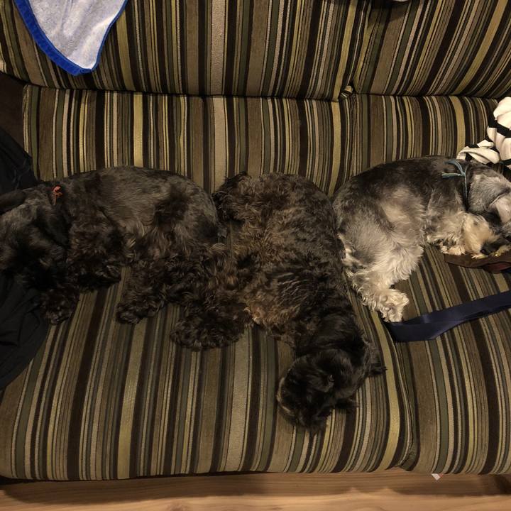 76edc317 ca20 4ed7 9c08 7f53dcdc98eb 1540387734052