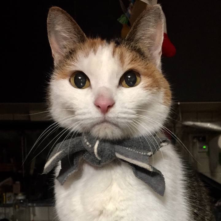 76ede9b2 effe 42f9 a503 168244bbfcbf 1578487987859